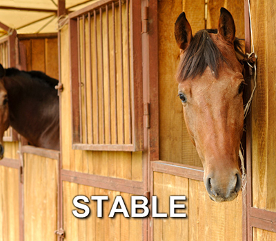 pucker_stable